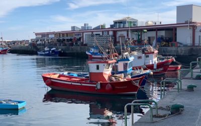 El Gobierno canario destinará 4,3 millones del FEMP a paliar los efectos del Covid-19 en el sector pesquero