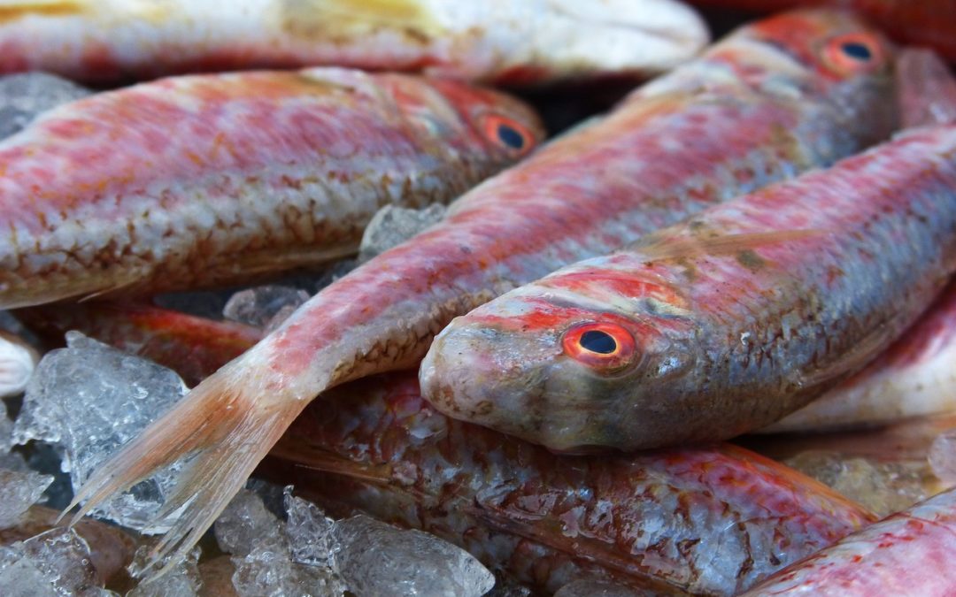 Salmonete, un pescado rosado lleno de nutrientes